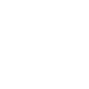 2025-01-EOL-Icon-Produkte_Palettierer