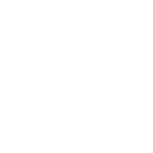 2025-01-EOL-Icon-Produkte_Palettierer