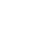 EO_PAckaging-Experts-LEistungsumfang_Lineaudit