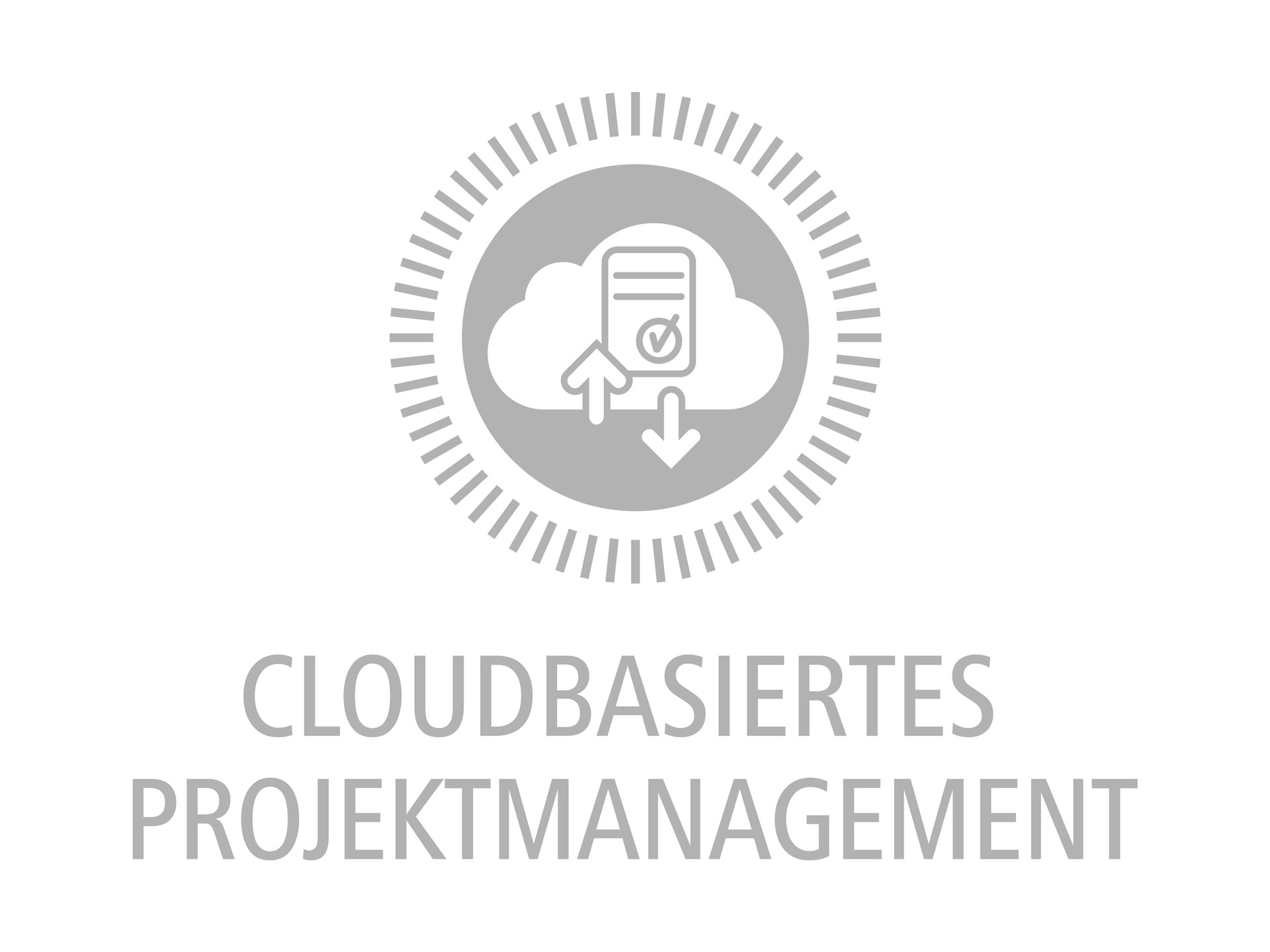 BMS Cloudbasiertes Projektmanagement